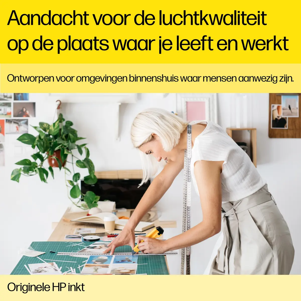 66200_7.webp