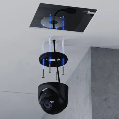 68901_7.webp